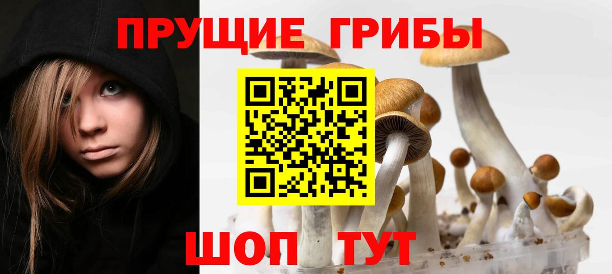 Псилоцибиновые грибы ЛСД Советский